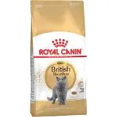 Royal Canin 4kg Adult British Shorthair kissan kuivaruoka