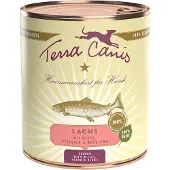 Terra canis lohi, hirssi, persikka & yrtit koiranruoka