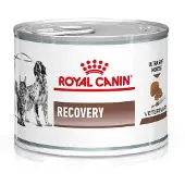 Royal Canin Dog&Cat Recovery wet, 12 x 195 g