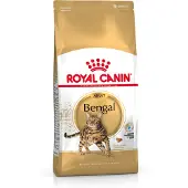 Royal Canin Bengal -kissan kuivaruoka aikuisille 10 kg