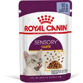 Royal Canin 24x85g Sensory Taste hyytelössä kissan märkäruoka