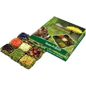 Jr Farm 2 x 125 g Grainless -konvehdit jyrsijöille pieneläinruoka