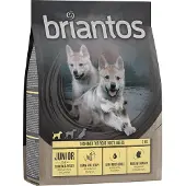 Briantos 4kg Junior kana & peruna viljaton koiranruoka