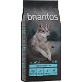 Briantos 2x12 kg Adult lohi & peruna viljaton koiranruoka