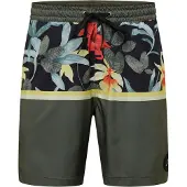 Quiksilver Division 17 Nb Uimashortsit