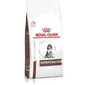 Royal Canin - Gastrointestinal Puppy Kuivaruoka koirille 10 kg - Koirat - Koiranruoka - Eläinlääkärikuivaruoka koiralle
