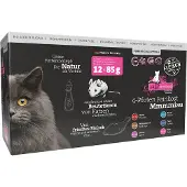 Catz Finefood 12x85g lajitelma I Purrrr Pouches kissanruoka