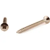 Arvid Nilsson TKFX A2 5x50 PZ2 LVI-ruuvi 100 kpl