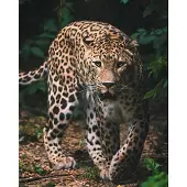 Sweet Home Leopard-huopa 120 x 150 cm