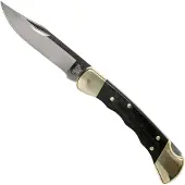 Buck 110 Folding Hunter