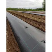 Hortex 50m2 1,25x40m mansikka-katekangas