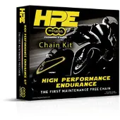 Regina HPE 525 KETJUSARJA SPEED TR. 1200 118/17/44