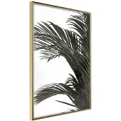 Artgeist Jungle Scent juliste