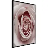 Artgeist Rosebud juliste