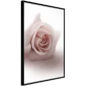 Artgeist Subtle Flower juliste