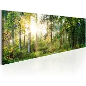 Artgeist Forest Shelter taulu