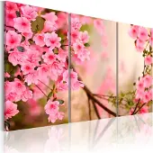 Artgeist Cherry Flower taulusetti