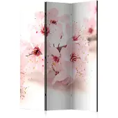 Artgeist Cherry Blossom 3-osainen sermi