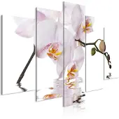 Artgeist Delightful Orchid Wide taulusetti