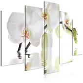 Artgeist Wonderful Orchid Wide taulusetti