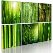 Artgeist Bamboo Has Many Faces taulusetti