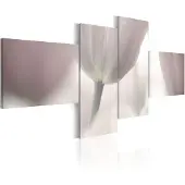 Artgeist Pastel Colored Tulip taulusetti