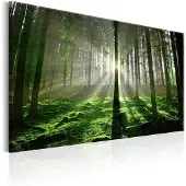 Artgeist Emerald Forest Ii taulu