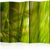 Artgeist Bamboo - Nature Zen 5-osainen sermi