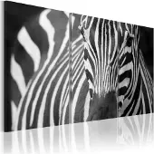 Artgeist Rouva Zebra taulusetti