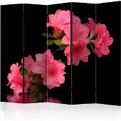 Artgeist Azalea In Black 5-osainen sermi