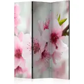 Artgeist Spring, Blooming Tree - Pink Flowers 3-osainen sermi