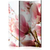 Artgeist Pink Magnolia 3-osainen sermi