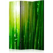 Artgeist Sun And Bamboo 3-osainen sermi