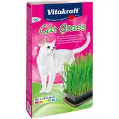 A - Mix 3 for 108 - Cat Grass in Tray 120g