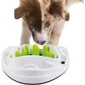 All For Paws Food Maze S