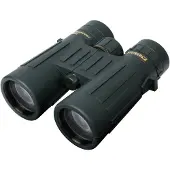 Steiner Observer 10x42 kiikarit