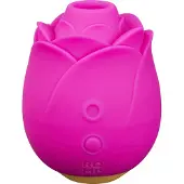 ROMP Rose