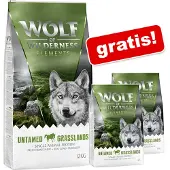 Wolf of Wilderness 2x12kg Untamed Grasslands hevonen viljaton koira