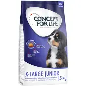 Concept for Life 2x12kg X-Large Junior koiran kuivaruoka