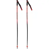 Rossignol Hero Gs-sg Kävelysauvat