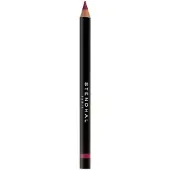 Stendhal Crayon Lèvres Précision 303 Huulikynä