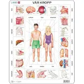 Adlibris Kehopalapeli, Our Body - Larsen