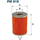 FILTRON Polttoainesuodatin PM 818