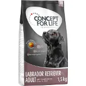 Concept for Life 12kg Labrador Retriever Adult koiranruoka