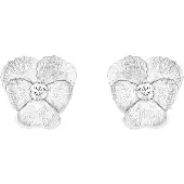 Tammi Jewellery Viola kirkas zirkonia hopea korvakorut S4528Z