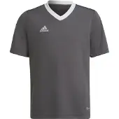 Adidas Ent22 Jsy Y - Grey - 140