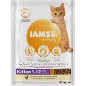 IAMS - Cat Kitten Chicken 800 g - Kissat - Kissanruoka - Kuivaruoka