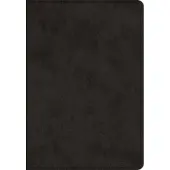 Book ESV Super Giant Print Bible