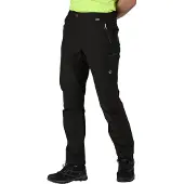Regatta Highton Shortsit