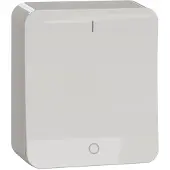 Schneider ELECTRIC EXXACT PINTA 2-KYTKIN IP21 RUUVILIITOS VALKOINEN (WDE015607)